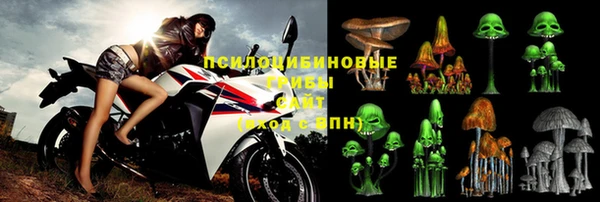 кристаллы Гусев