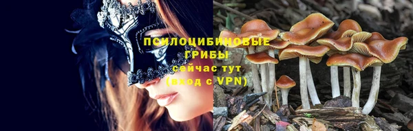 тгк Гусиноозёрск