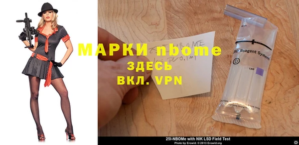 хмурый Гусь-Хрустальный