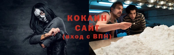 хмурый Гусь-Хрустальный