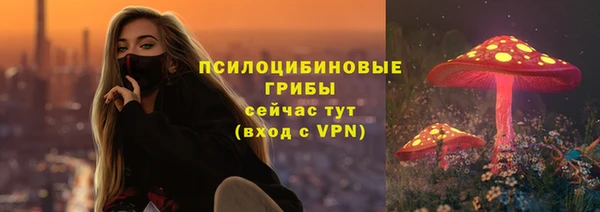 прущая мука Ветлуга
