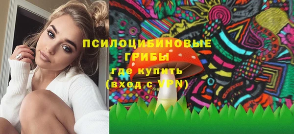 хмурый Гусь-Хрустальный