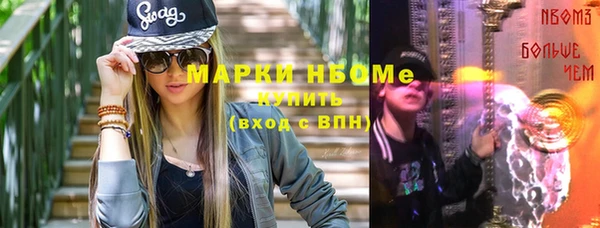 хмурый Гусь-Хрустальный