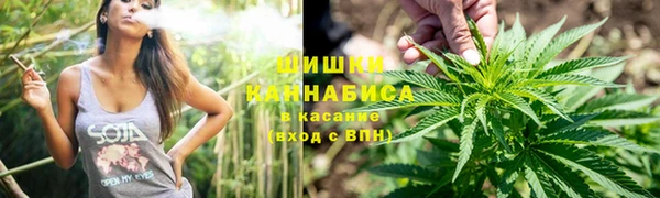 хмурый Гусь-Хрустальный