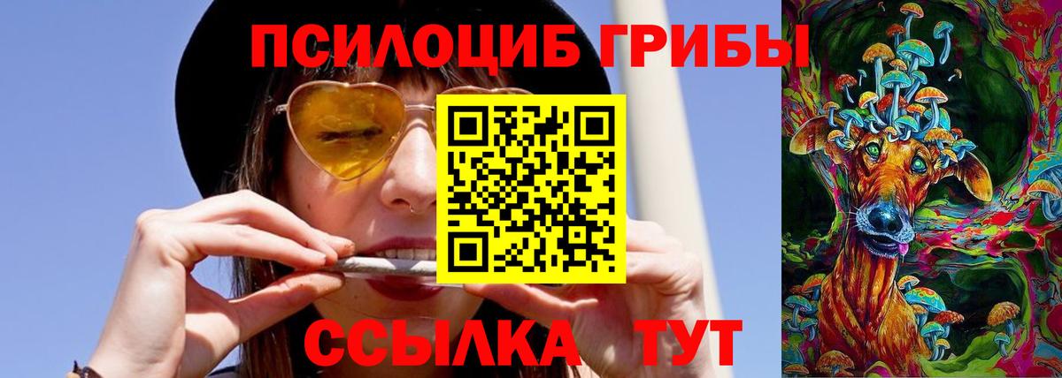 купить  сайты  Псилоцибиновые грибы мухоморы  Вход с VPN  Донской 